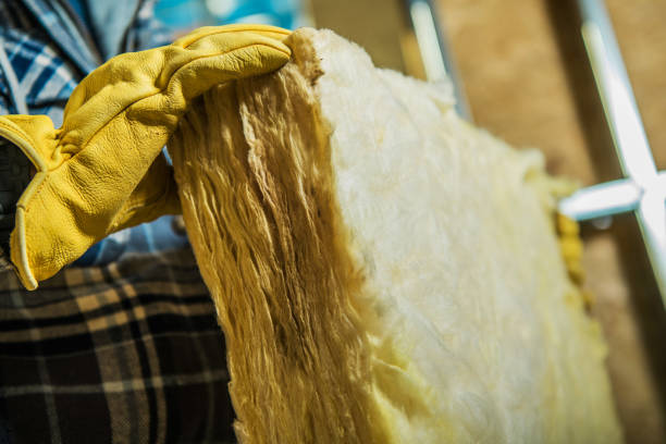 Best Insulation Repair Services  in , MN