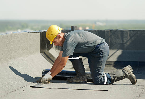 Best Commercial Insulation Contractor  in , MN