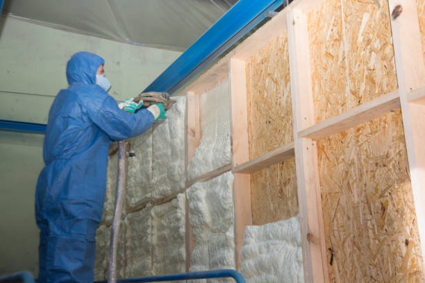 Best Insulation Removal  in , MN
