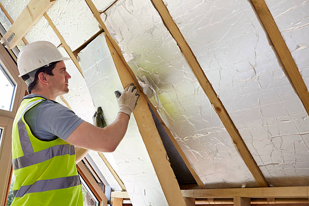 Best Insulation Inspection Services  in , MN